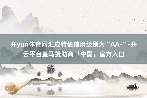 开yun体育网汇成转债信用级别为“AA-”-开云平台皇马赞助商「中国」官方入口