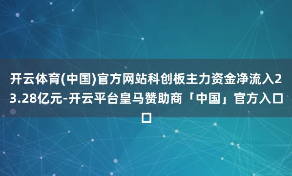 开云体育(中国)官方网站科创板主力资金净流入23.28亿元-开云平台皇马赞助商「中国」官方入口